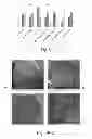 Fig. 04 - SLOWLY DIGESTING STARCH AND FERMENTABLE FIBER