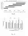 Fig. 06 - SLOWLY DIGESTING STARCH AND FERMENTABLE FIBER