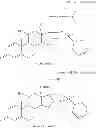 Fig. 02 - Pharmaceutical formulation comprising ciclesonide