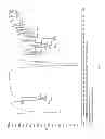 Fig. 22 - Enzymatic process for obtaining 17α-monoesters of cortexolone and/or its 9,11-dehydroderivatives