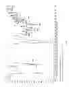 Fig. 28 - Enzymatic process for obtaining 17α-monoesters of cortexolone and/or its 9,11-dehydroderivatives
