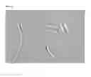 Fig. 02 - Neurogenesis screening method and uses thereof