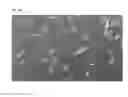 Fig. 03 - Neurogenesis screening method and uses thereof
