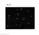 Fig. 07 - Neurogenesis screening method and uses thereof