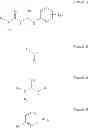 Fig. 03 - N1-cyclic amine-N5-substituted phenyl biguanide derivatives, methods of preparing the same and pharmaceutical composition comprising the same
