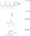 Fig. 82 - N1-cyclic amine-N5-substituted phenyl biguanide derivatives, methods of preparing the same and pharmaceutical composition comprising the same