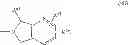 Fig. 24 - Pharmaceutically active disubstituted triazine derivatives
