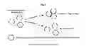 Fig. 02 - Hepatitis B antiviral agents