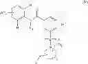 Fig. 05 - Hepatitis B antiviral agents