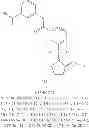 Fig. 335 - Hepatitis B antiviral agents