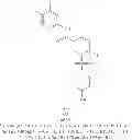 Fig. 480 - Hepatitis B antiviral agents