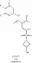 Fig. 768 - Hepatitis B antiviral agents