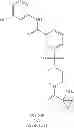 Fig. 91 - Hepatitis B antiviral agents