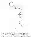 Fig. 99 - Hepatitis B antiviral agents