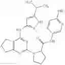 Fig. 124 - Fused pyrimidine compounds and use thereof