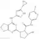 Fig. 63 - Fused pyrimidine compounds and use thereof