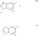 Fig. 06 - Quinolone compound