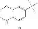 Fig. 459 - Quinolone compound