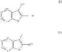 Fig. 595 - Quinolone compound
