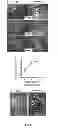 Fig. 06 - THERAPEUTIC AGENT FOR ECTOPIC PREGNANCY