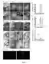 Fig. 07 - THERAPEUTIC AGENT FOR ECTOPIC PREGNANCY