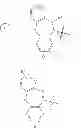 Fig. 137 - METHODS OF TARGETED TREATMENT OF FRONTOTEMPORAL LOBAR DEGENERATION