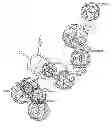 Fig. 01 - METHODS AND COMPOSITIONS OF TARGETED DRUG DEVELOPMENT