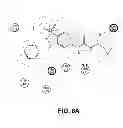 Fig. 08 - METHODS AND COMPOSITIONS OF TARGETED DRUG DEVELOPMENT