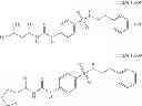 Fig. 481 - METHODS AND COMPOSITIONS OF TARGETED DRUG DEVELOPMENT