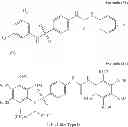 Fig. 486 - METHODS AND COMPOSITIONS OF TARGETED DRUG DEVELOPMENT