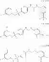 Fig. 488 - METHODS AND COMPOSITIONS OF TARGETED DRUG DEVELOPMENT