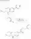 Fig. 181 - Metabotrophic glutamate receptor 5 modulators and methods of use thereof
