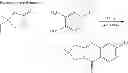 Fig. 189 - Metabotrophic glutamate receptor 5 modulators and methods of use thereof