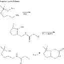 Fig. 208 - Metabotrophic glutamate receptor 5 modulators and methods of use thereof