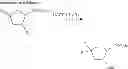 Fig. 216 - Metabotrophic glutamate receptor 5 modulators and methods of use thereof