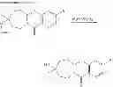 Fig. 228 - Metabotrophic glutamate receptor 5 modulators and methods of use thereof