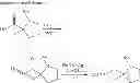 Fig. 244 - Metabotrophic glutamate receptor 5 modulators and methods of use thereof
