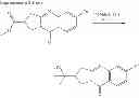 Fig. 246 - Metabotrophic glutamate receptor 5 modulators and methods of use thereof