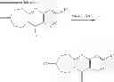 Fig. 248 - Metabotrophic glutamate receptor 5 modulators and methods of use thereof