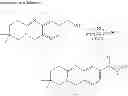 Fig. 294 - Metabotrophic glutamate receptor 5 modulators and methods of use thereof