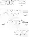 Fig. 320 - Metabotrophic glutamate receptor 5 modulators and methods of use thereof