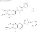 Fig. 326 - Metabotrophic glutamate receptor 5 modulators and methods of use thereof