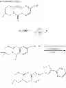 Fig. 339 - Metabotrophic glutamate receptor 5 modulators and methods of use thereof