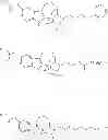 Fig. 08 - Substituted noribogaine