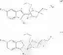 Fig. 15 - Substituted noribogaine
