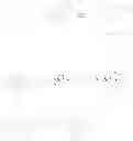 Fig. 22 - Substituted noribogaine