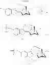 Fig. 30 - Substituted noribogaine