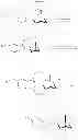 Fig. 31 - Substituted noribogaine