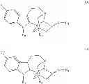 Fig. 05 - Substituted noribogaine