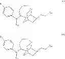Fig. 12 - Substituted noribogaine